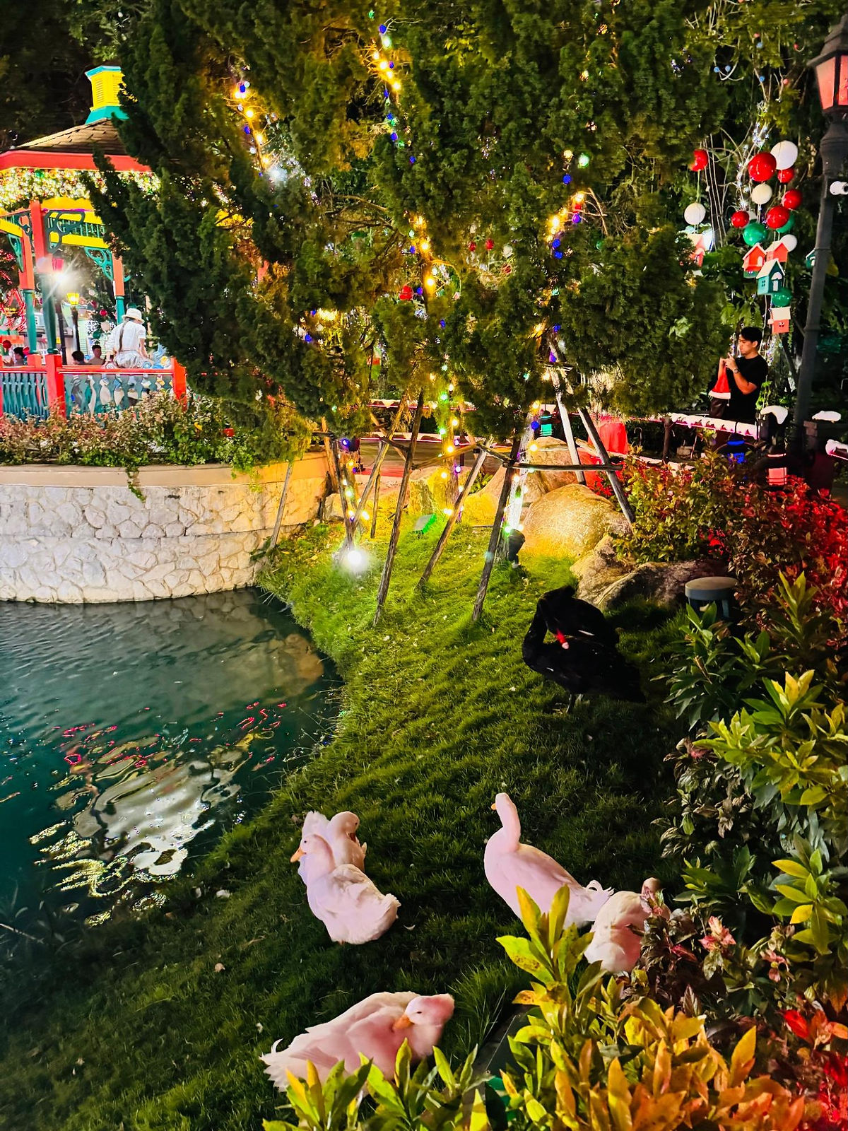 Ducks at Chocolate Ville Pond
